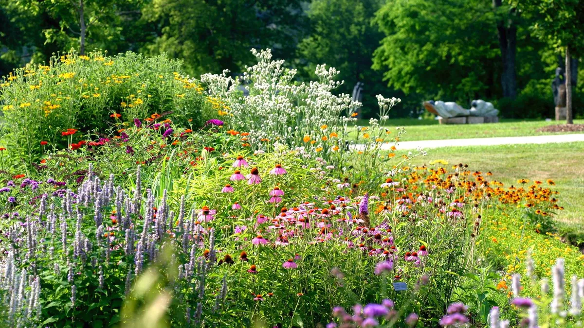 Native Plants and Gardens